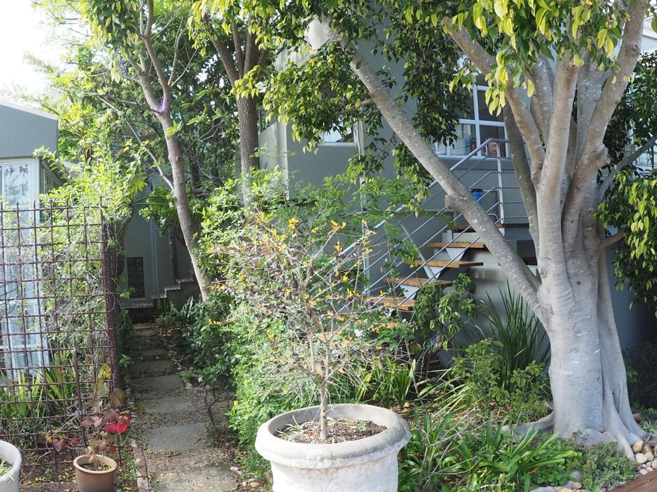 קניסנה Hillview Boutique Apartments מראה חיצוני תמונה